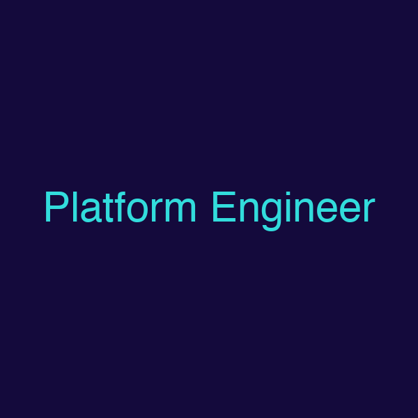 Platform Engineer