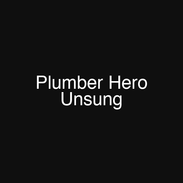 Plumber Hero Unsung