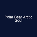 Polar Bear Arctic Soul