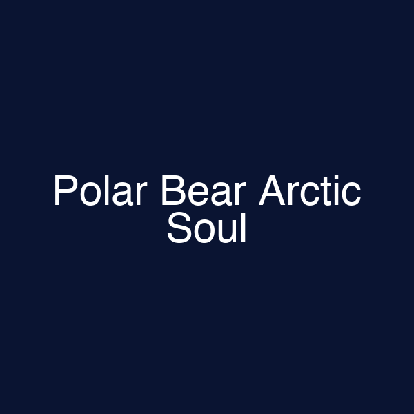Polar Bear Arctic Soul