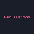 Rescue Cat Mom