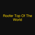 Roofer Top Of The World
