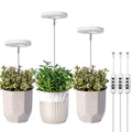 LED Pflanzenlampe Vollspektrum Timer 3-9-12h 10-stufig Dimmbar Indoor Höhenverstellbar Smart Wachstumslicht
