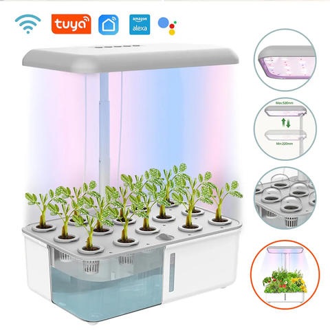 Tuya WiFi Smart Hydroponics Wachstumssystem LED Wachstumslicht Auto Pumpe Innengarten Kräuter Smart