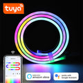 Tuya RGBIC LED Neon Streifen WiFi APP 1-10M 12/24V Alexa Smart Home Dynamische Beleuchtung