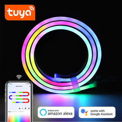 Tuya RGBIC LED Neon Streifen WiFi APP 1-10M 12/24V Alexa Smart Home Dynamische Beleuchtung