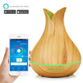 Tuya WiFi Reptilien Terrarien Fogger Luftbefeuchter Timer Automatisch Regenwald Spray Smart Home