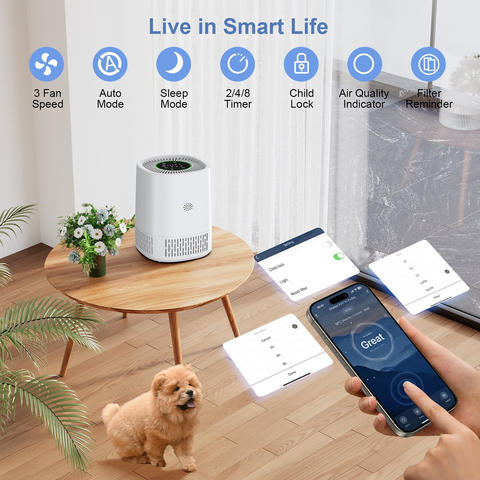 PJ07 Desktop-Luftreiniger WLAN-Touch HEPA Aktivkohlefilter leise für Zuhause Büro Schlafzimmer