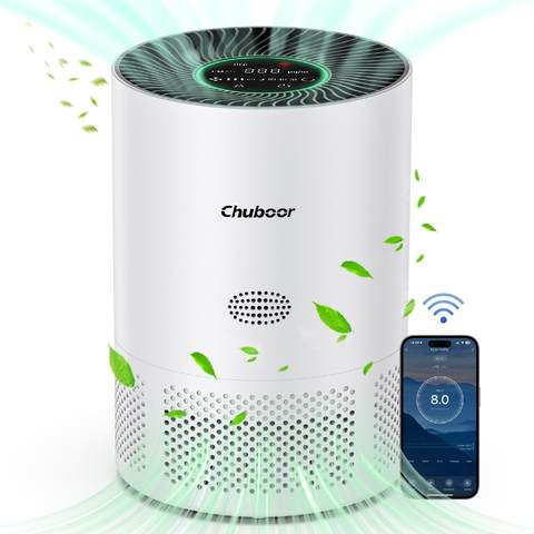 EU Tuya Smart Mini Luftreiniger 40m2 App Alexa PM2.5 24dB Schlaf H13 Filter Haustierhaar Gerüche Rauch Pollen