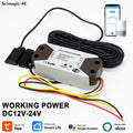 Tuya WiFi Garagentoröffner 12V 24V DC mit Türsensor Echtzeit-Türstatus Fernzugriff Alexa Google Home Smart