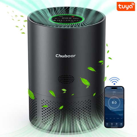 Luftreiniger H13-True-HEPA für Schlafzimmer Küche Bad Rauch Staub Pollen PM2.5-Erkennung 185m3h CADR