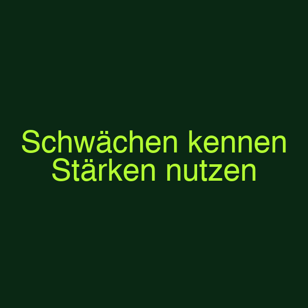 Schwächen kennen Stärken nutzen