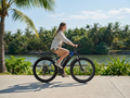 DUOTTS C29 E-Bike 48V 750W Motor 15Ah 52km/h LCD Hydraulische Bremsen 21 Gang Elektrofahrrad Smart