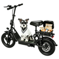 ATSANT EBS2 600W E-Scooter Mit Sitz 54.6V 22.5Ah 100km Reichweite 35km/h 14 Zoll