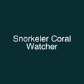 Snorkeler Coral Watcher