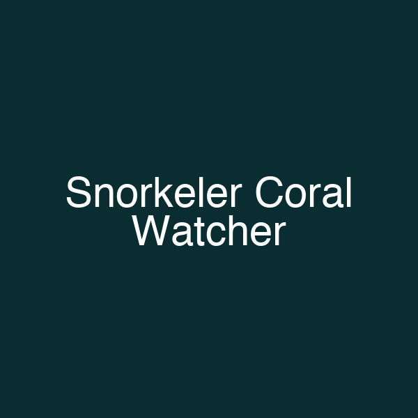 Snorkeler Coral Watcher