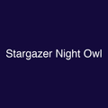 Stargazer Night Owl