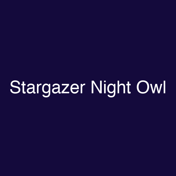 Stargazer Night Owl