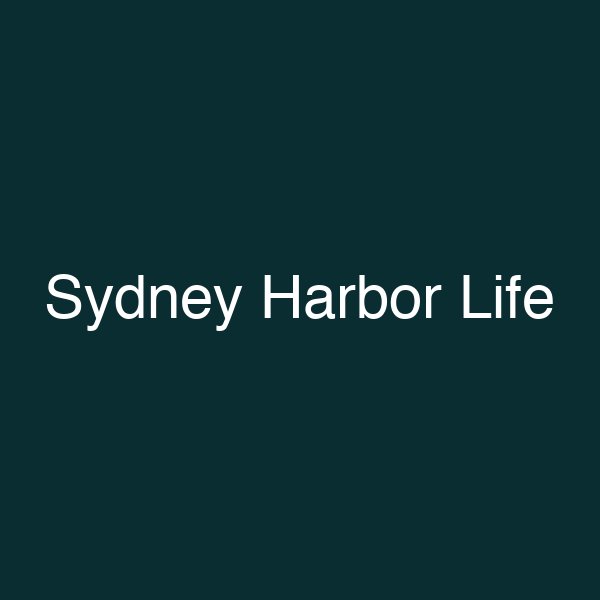 Sydney Harbor Life