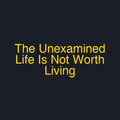 The Unexamined Life Is Not Worth Living