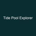 Tide Pool Explorer