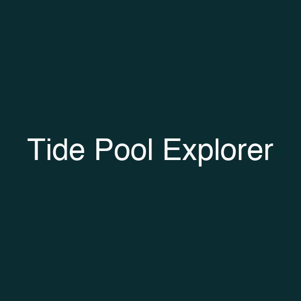 Tide Pool Explorer