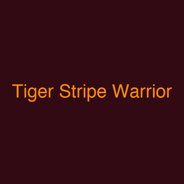 Tiger Stripe Warrior
