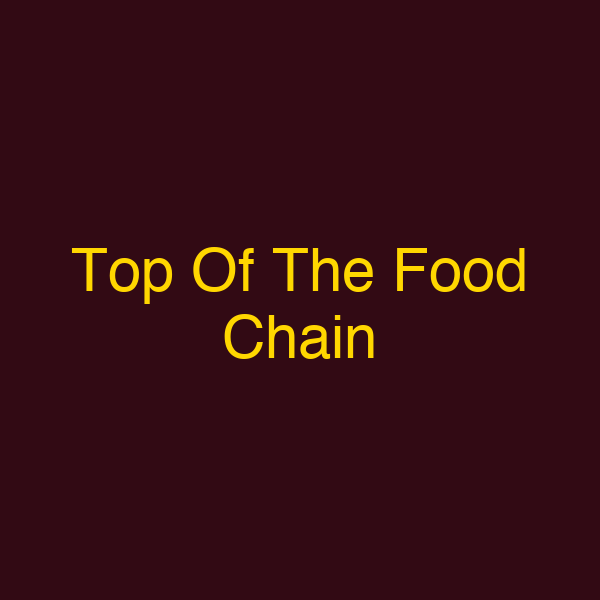Top Of The Food Chain