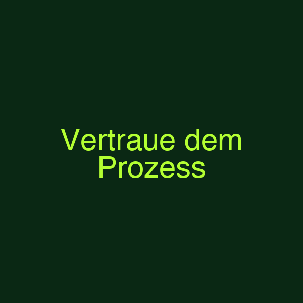 Vertraue dem Prozess