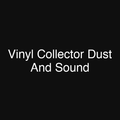 Vinyl Collector Dust And Sound