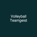 Volleyball Teamgeist