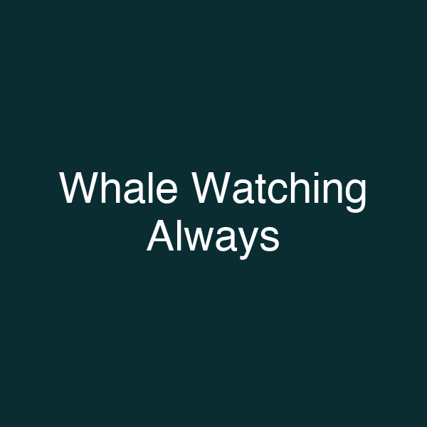 Whale Watching Always