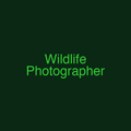 Wildlife Photographer