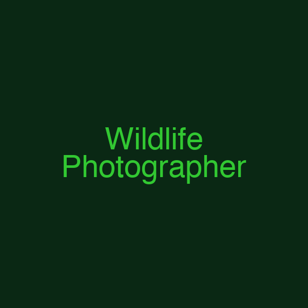 Wildlife Photographer