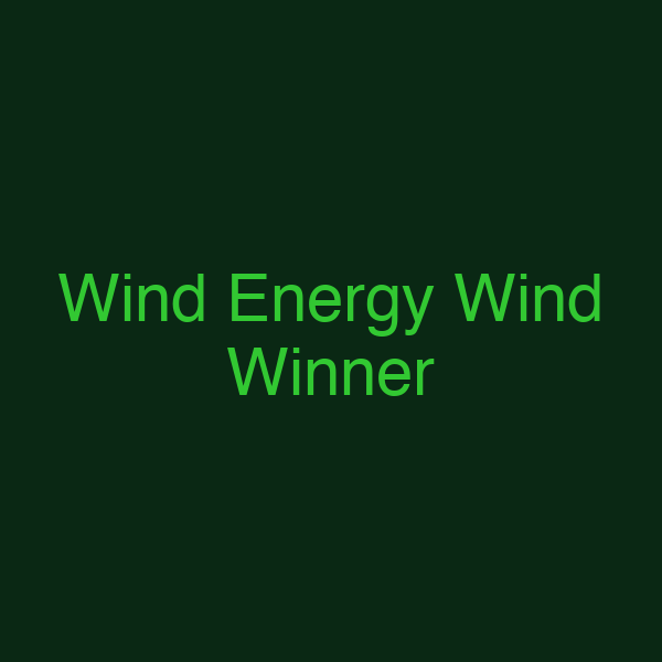 Wind Energy Wind Winner