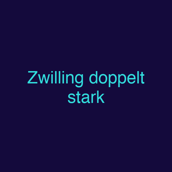Zwilling doppelt stark