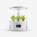 AeroGarden Harvest 360 Indoor Garden mit frischen Kräutern