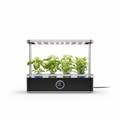 AeroGarden Harvest Elite Slim Eco mit frischen Kräutern