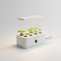AeroGarden Harvest Slim Desktop Hydroponik