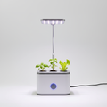 AeroGarden Sprout LED Hydroponik System