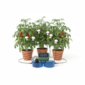 Automatik-Bewässerungssystem für Tomaten auf Balkon