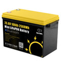 Gokwh 24V 100Ah LCD Energy Storage Box 2560Wh  Solar Lithium Ion LiFePO4(LFP)  Battery for RV Boat Home Energy Storage