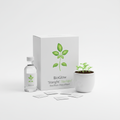 BioGlow 'Starlight' Basilikum-Anzuchtset