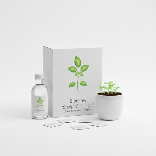 BioGlow 'Starlight' Basilikum-Anzuchtset