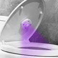 Portable Mini USB Charging Ultraviolet UVC Toilet Sterilization Lamp Household Disinfection Device Toothbrush Disinfection