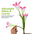 2Pcs Solar Garden Lights Outdoor Lily Flower LED Light