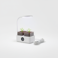 EcoSprout Smart Soil-Free Kit