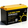Gokwh 12V 100AH LiFePO4 Lithium Battery 1280Wh Energy Storage Box Battery Series Built-in BMS
