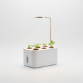 Herb Hydroponic System Lite