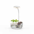 Koolerbuy Mini-Desktop Hydroponik Lampe